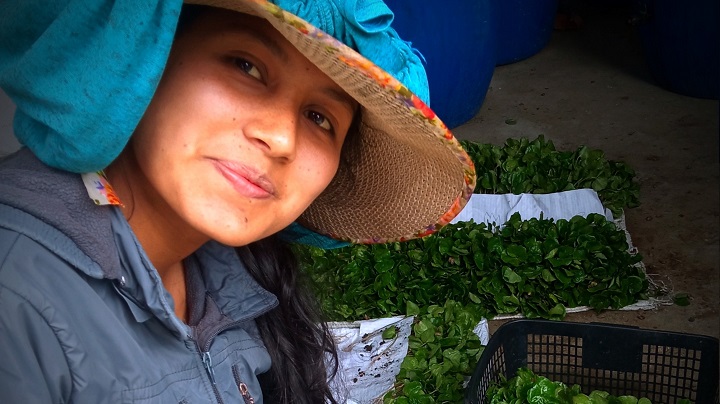 Sofia Fajardo La Orquidea y el Oso