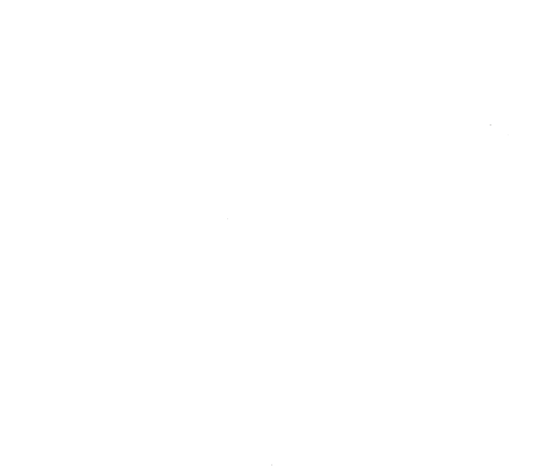 La Orquídea y el Oso